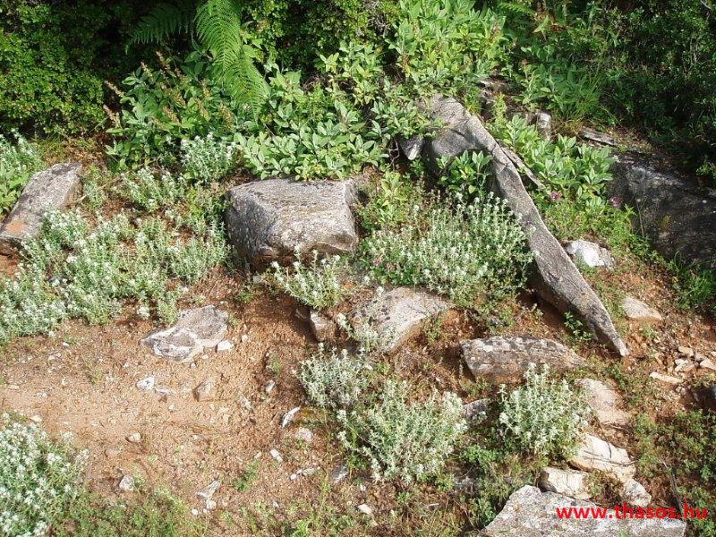 Jeep túra