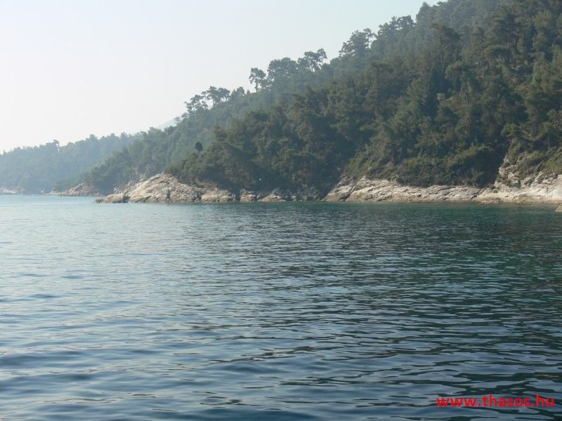 balazsh - 2007