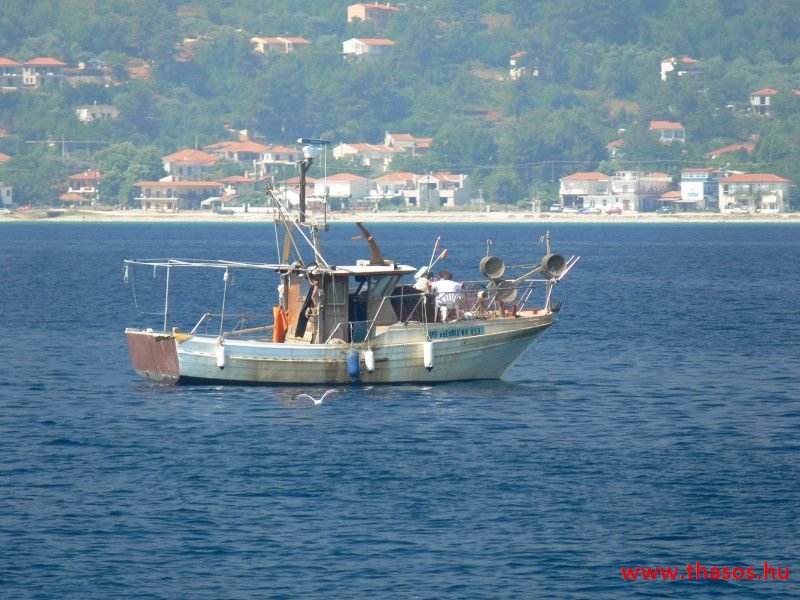 balazsh - 2007