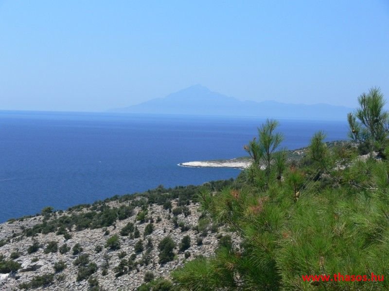 balazsh - 2007