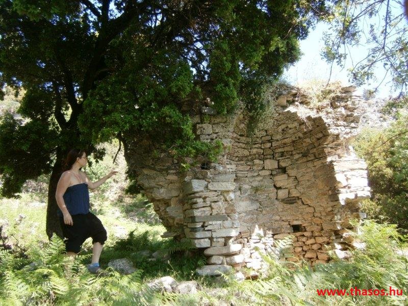 paleohori_osi_falu_07