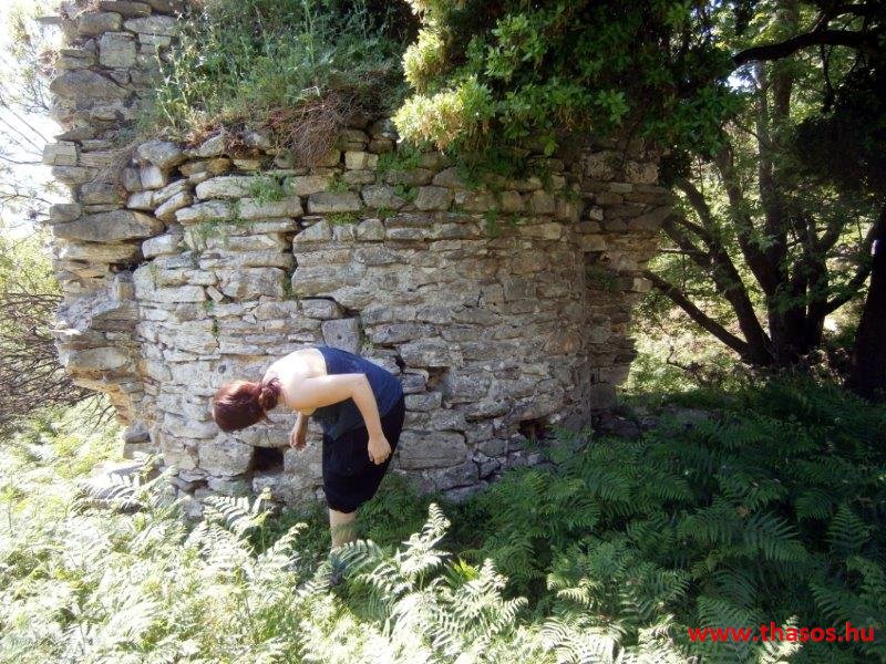 paleohori_osi_falu_12