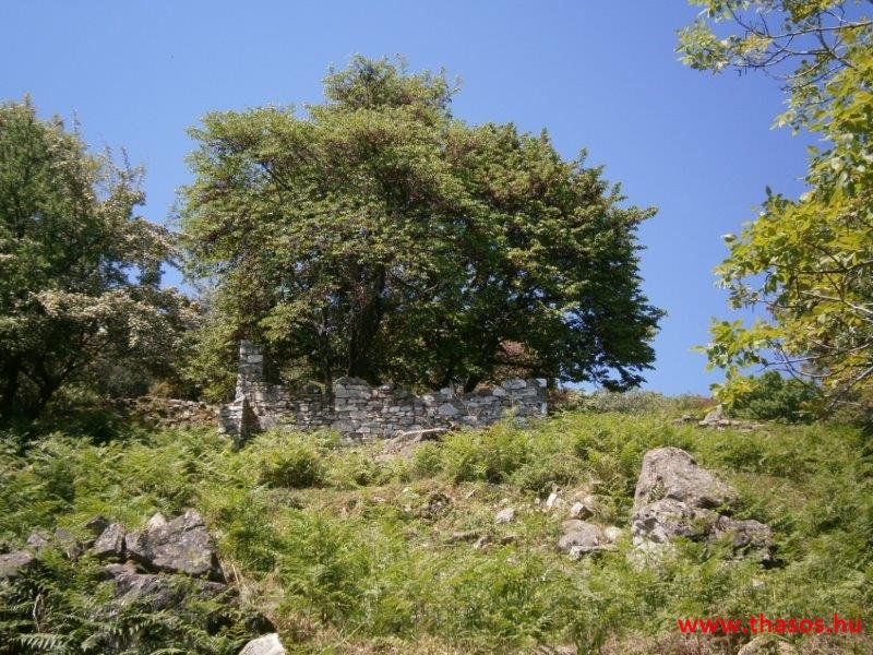 paleohori_osi_falu_19