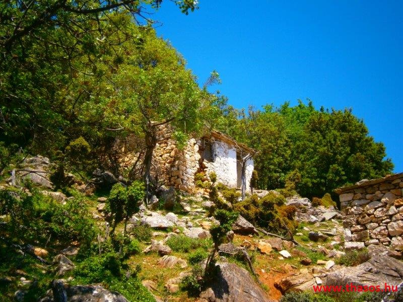 paleohori_osi_falu_39