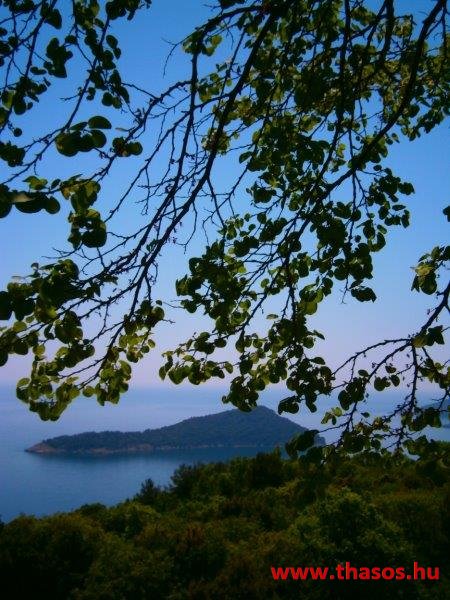 paleohori_osi_falu_40