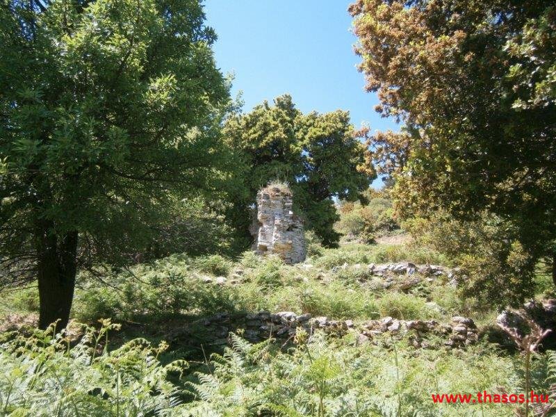 paleohori_osi_falu_53