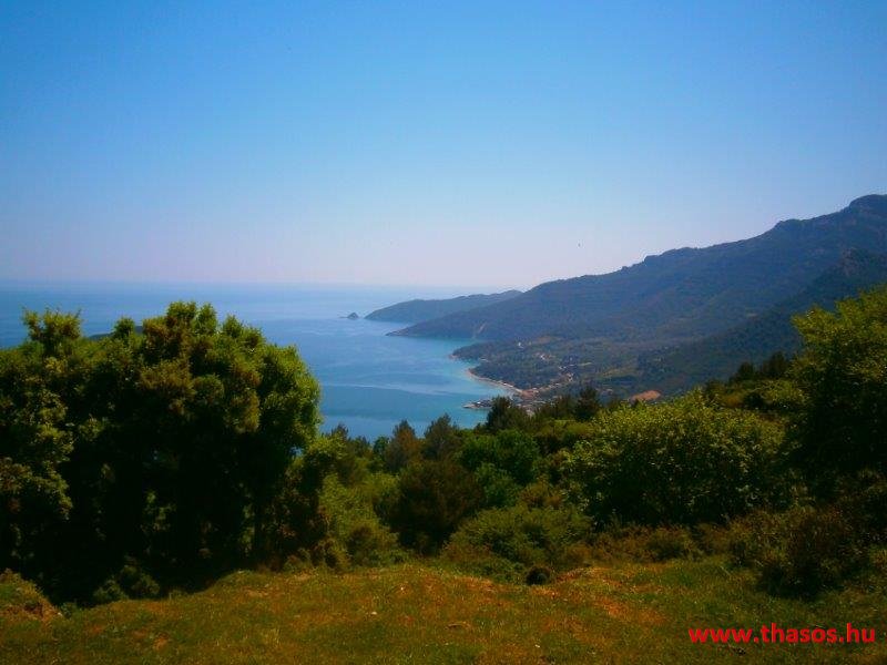 paleohori_osi_falu_58