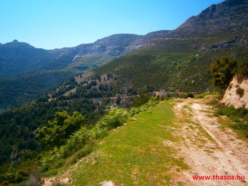 paleohori_osi_falu_61