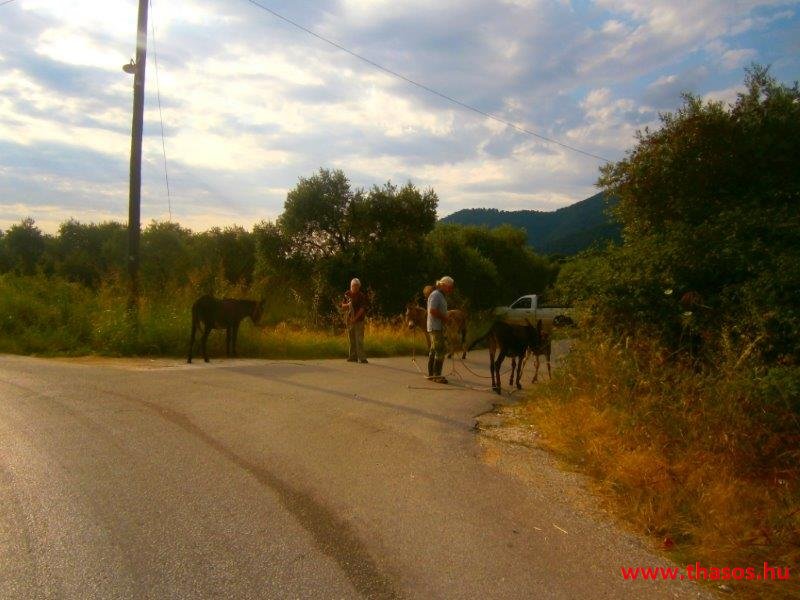 Pános otthonában - Szigetkörbe kirándulás 2015