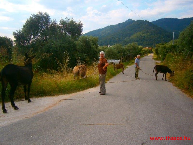 Pános otthonában - Szigetkörbe kirándulás 2015