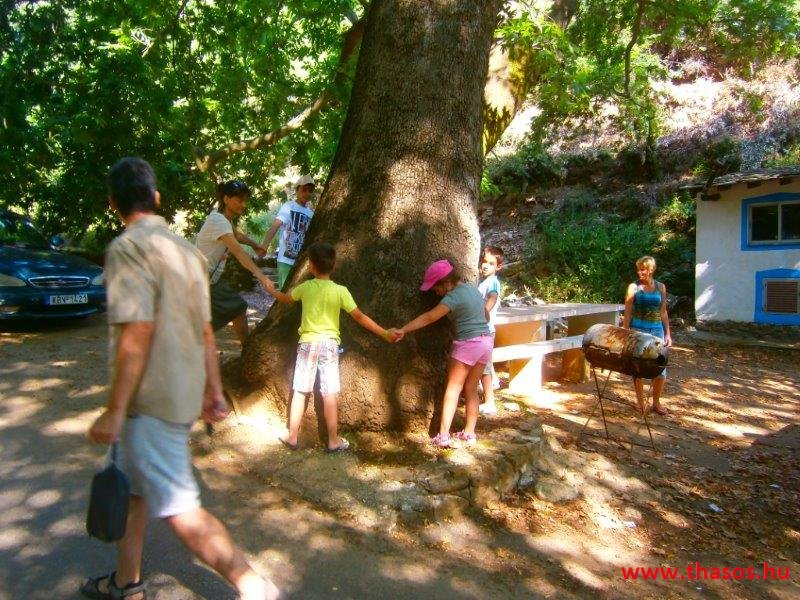 Pános otthonában - Szigetkörbe kirándulás 2015