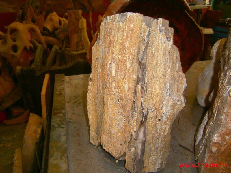 Pános otthonában - Szigetkörbe kirándulás 2015