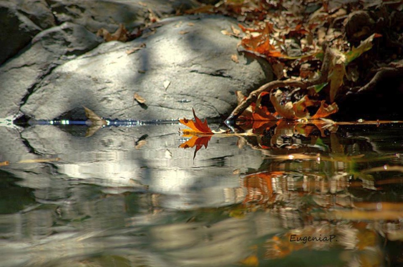 12009580 1118857168142815 1986597573779928969 n