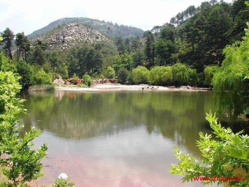 Az öreg falu, a vén platán és a folyók meséje