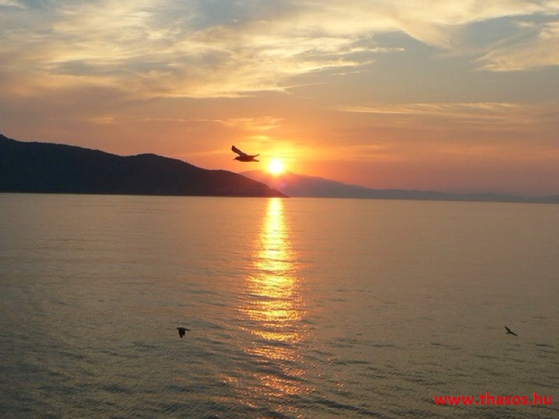 Az öreg falu, a vén platán és a folyók meséje