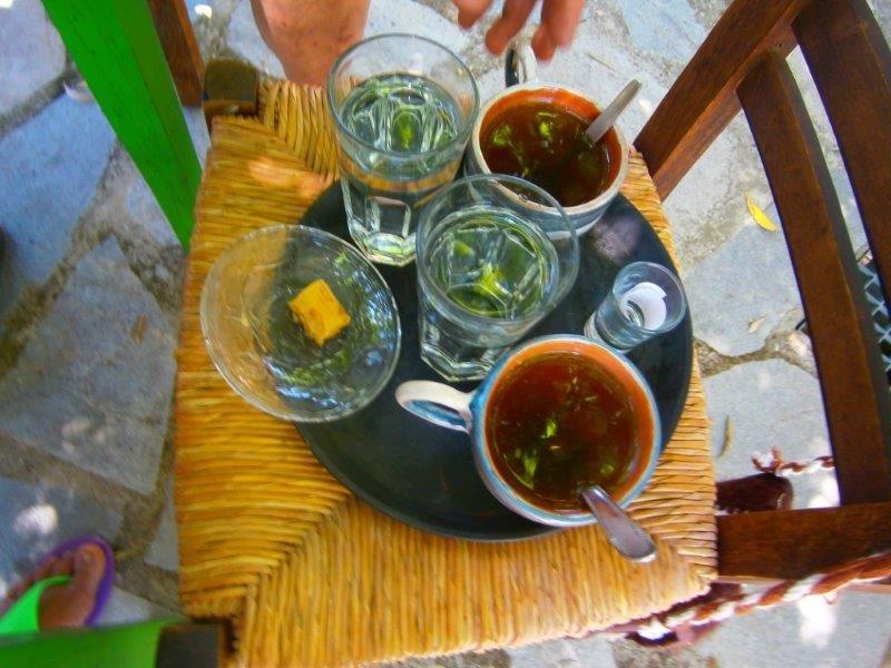 gorgos papu kavezoja 034